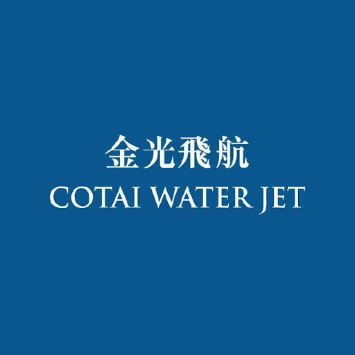 金光飛航 標誌